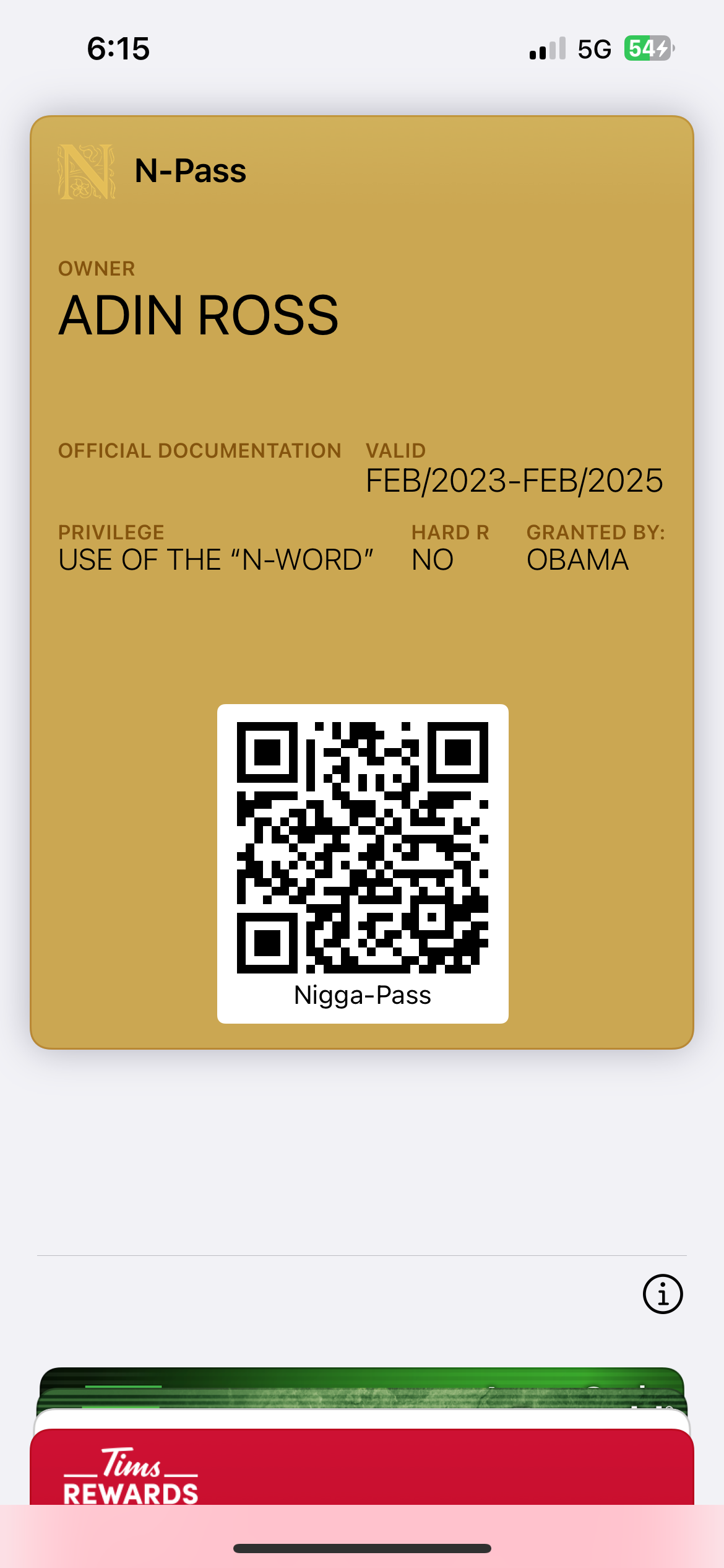OFFICIAL iPhone Wallet N-Pass