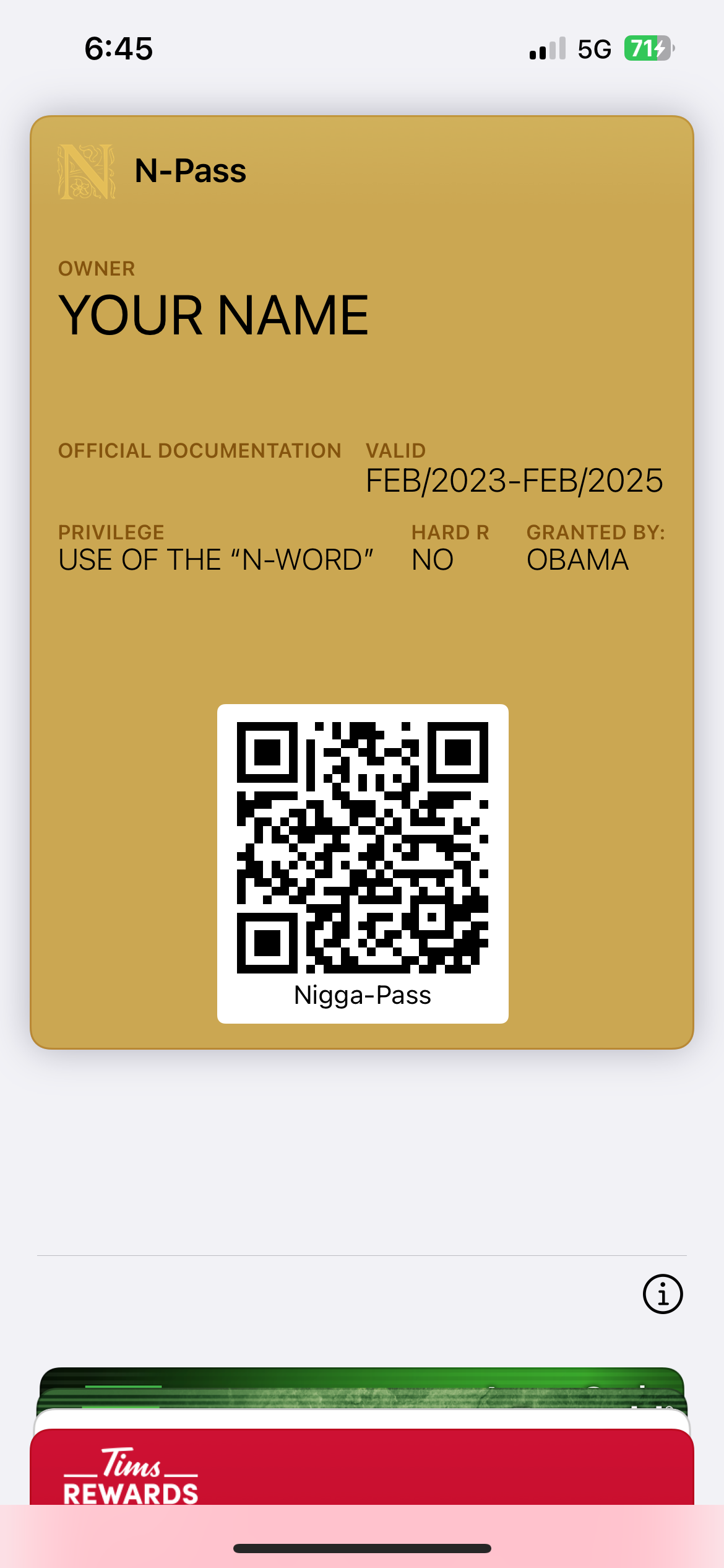OFFICIAL iPhone Wallet N-Pass